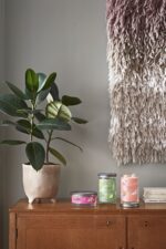 Yankee Candle Watercolour Skies Kerze neben Pflanze und Büchern auf einer Kommode