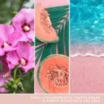 Pink Sands Signature Medium Jar 368g 2-Docht – Produktansicht