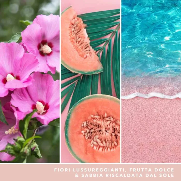 Pink Sands Signature Medium Jar 368g 2-Docht – Produktansicht