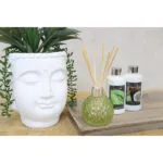 DiffuserGlas-Nachfu-ller_AR1520GR_LeeresDiffuserGlas_WRD014_WRD015-JPG.jpg