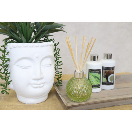 DiffuserGlas-Nachfu-ller_AR1520GR_LeeresDiffuserGlas_WRD014_WRD015-JPG.jpg
