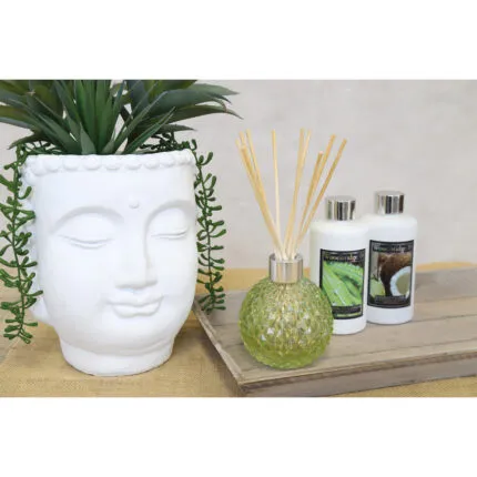 DiffuserGlas-Nachfu-ller_AR1520GR_LeeresDiffuserGlas_WRD014_WRD015-JPG.jpg