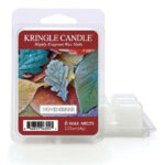 Novembrrr Wax Melts 64g – Hauptansicht