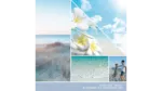 Ocean Air 37g – Produktansicht