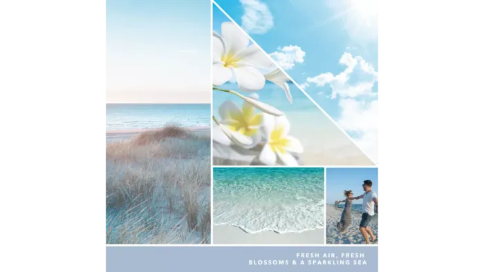 Ocean Air 37g – Produktansicht
