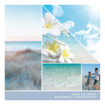 Ocean Air 37g – Produktansicht