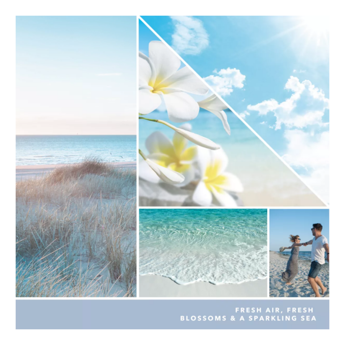Ocean Air 37g – Produktansicht