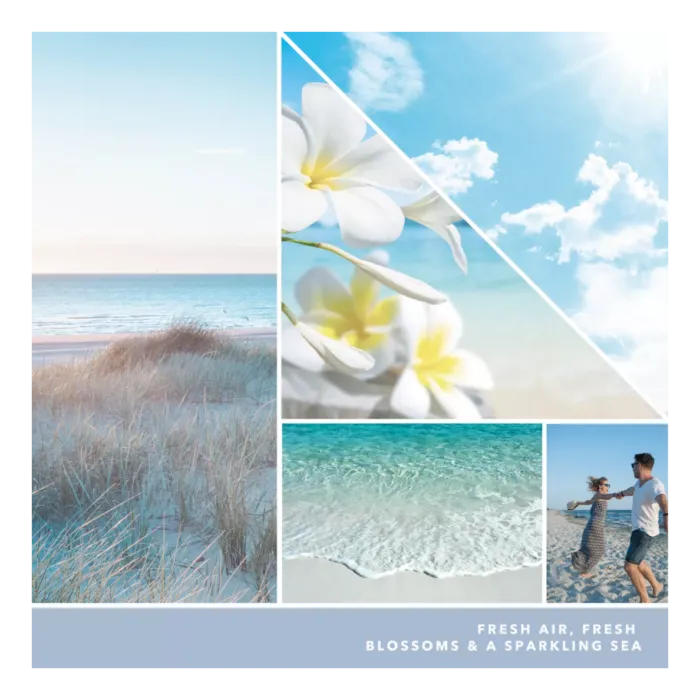 Ocean Air 37g – Produktansicht