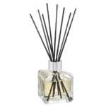 Freigestellter Glas-Diffuser mit schwarzen Duftstäbchen und heller Flüssigkeit