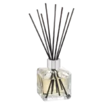 Freigestellter Glas-Diffuser mit schwarzen Duftstäbchen und heller Flüssigkeit