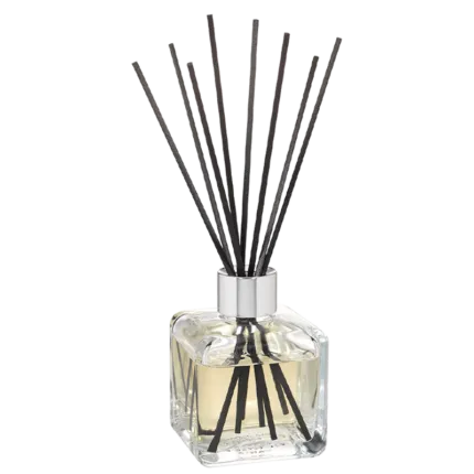 Freigestellter Glas-Diffuser mit schwarzen Duftstäbchen und heller Flüssigkeit