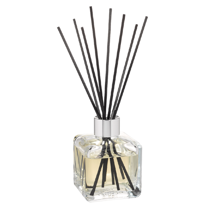 Freigestellter Glas-Diffuser mit schwarzen Duftstäbchen und heller Flüssigkeit