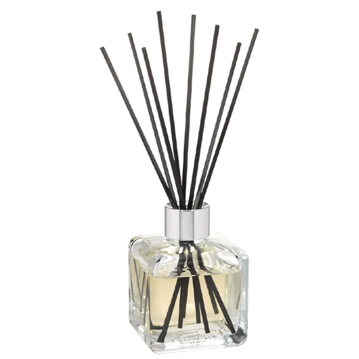 Freigestellter Glas-Diffuser mit schwarzen Duftstäbchen und heller Flüssigkeit