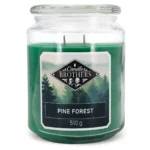 Grüne Pine Forest Kerze im Glas mit sichtbarem Candle Brothers Etikett