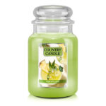 Pineapplerita 680g – Hauptansicht
