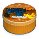 Pinecones & Pomander Daylight 42g – Hauptansicht