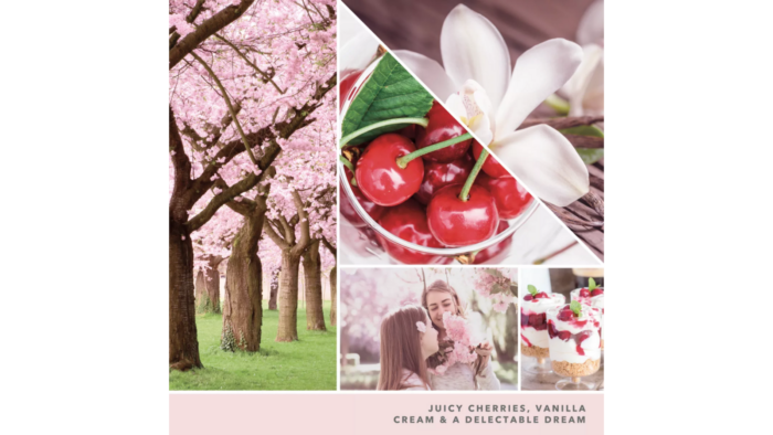 Collage mit Kirschbaum, Kirschen, weißen Blüten und Kirschdessert