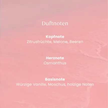 Pink Sands ScentPlug™ Starter Kit – Produktansicht