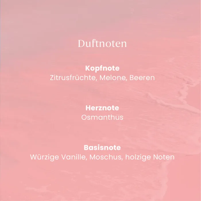 Pink Sands ScentPlug™ Starter Kit – Produktansicht