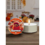 Pumpkin Rum Toddy Daylight 42g – Produktansicht