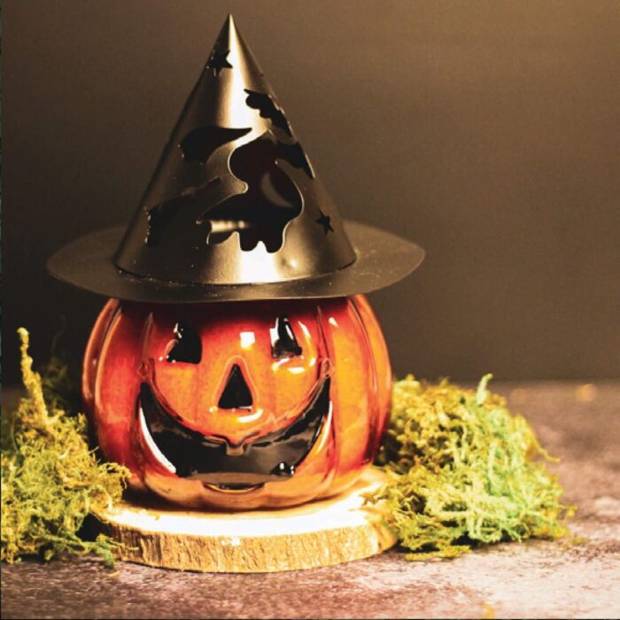 Punky - Pumpkin Pie 295g – Produktansicht