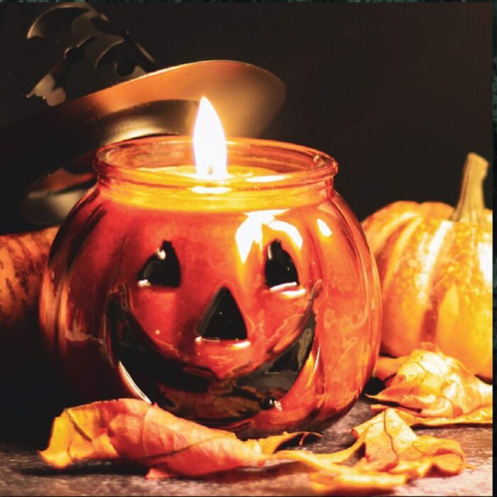 Punky - Pumpkin Pie 295g – Produktansicht