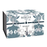 Bedruckte Maison Berger Paris Verpackung mit Diffuser-Abbildung