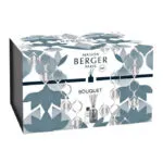 Bedruckte Maison Berger Paris Verpackung mit Diffuser-Abbildung