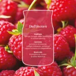 Red Raspberry Signature Medium Jar 368g 2-Docht – Produktansicht