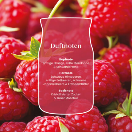 Grafik mit Himbeeren und Duftnoten der Red Raspberry Kerze