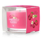 Red Raspberry 37g – Produktansicht