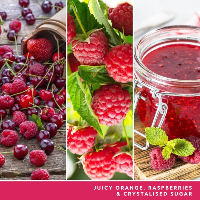 Red Raspberry Signature Medium Jar 368g 2-Docht – Produktansicht