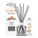 Diffuser mit schwarzen Stäbchen, Verpackung und Nachfüllflasche von Maison Berger