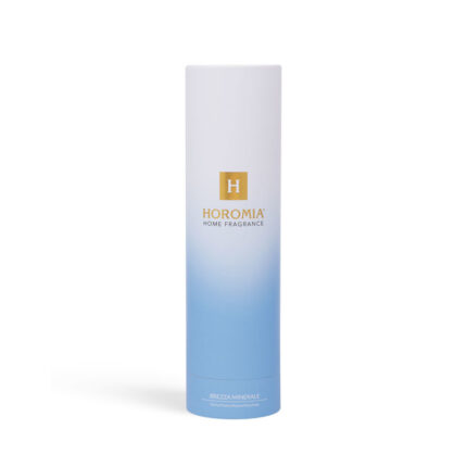 H-158-Reed-Diffuser-Brezza-minerale-200ml-1200x1200-jpg.jpg