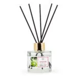 A2721-PR-100ML-GingerLime-FREI-jpg.jpg
