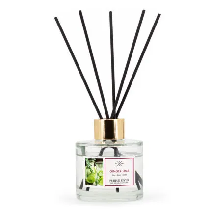 A2721-PR-100ML-GingerLime-FREI-jpg.jpg