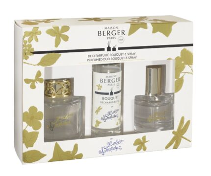 Reed Diffuser & Raumspray 90ml klar – Hauptansicht