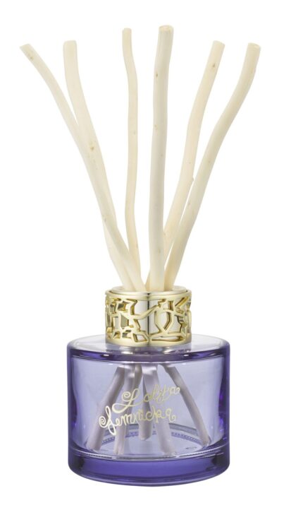 Reed Diffuser Set 90ml klar – Produktansicht