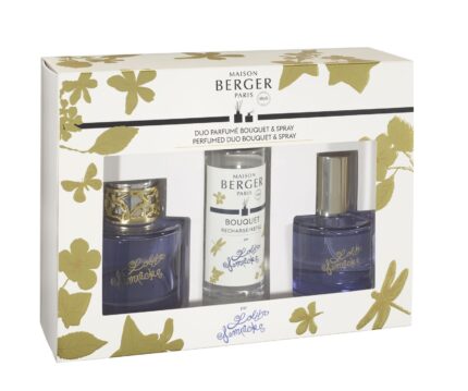 Reed Diffuser Set 90ml klar – Hauptansicht