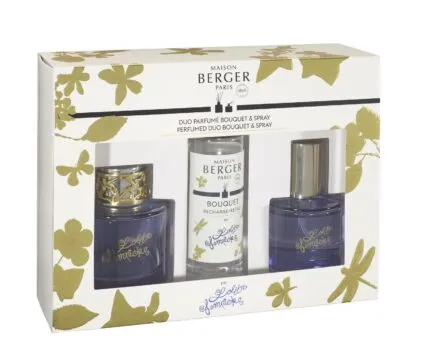 Reed Diffuser Set 90ml klar – Hauptansicht