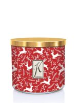 Reindeer Beer 396g Tumbler 3-Docht – Produktansicht