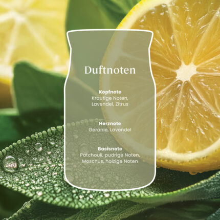 Sage & Citrus Signature Medium Jar 368g 2-Docht – Produktansicht