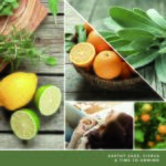 Sage & Citrus 37g – Produktansicht