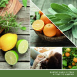 Sage & Citrus Wachsmelt 22g – Produktansicht