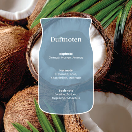 Duftrichtungen mit Kopf-, Herz- und Basisnoten der Salted Coconut Kerze
