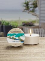 Sand & Santal Daylight 42g – Produktansicht