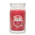 Santa on Skis Large Jar 567g, 2-Docht – Hauptansicht