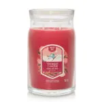 Santa on Skis Large Jar 567g, 2-Docht – Hauptansicht