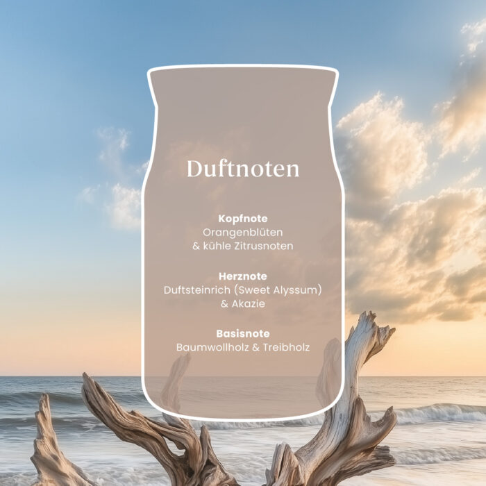 Grafik mit Duftnoten von Seaside Woods vor einer Meeresküste