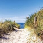Sandiger Weg durch Dünengras führt zum Meer